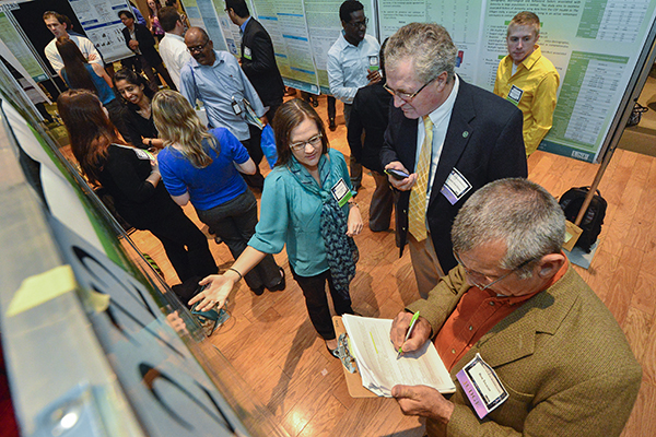 Judges looked at each abstract to determine the winners.